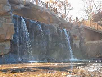 盆景綠植花卉起名大全，創(chuàng)意命名，為您的綠色家園添彩添香